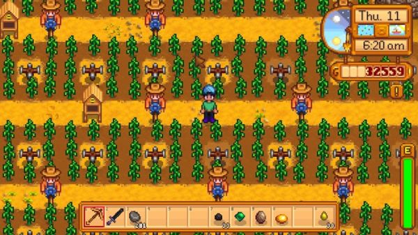 Stardew Valley