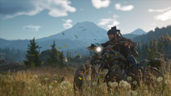 Days Gone  (PC)